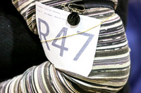 #R47 Fri RallyAdvB Judge Patricia Maynard