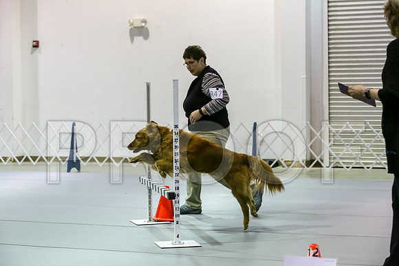 #R47 Fri RallyAdvB Judge Patricia Maynard_JJJ_1705_Msqte2019-HR3