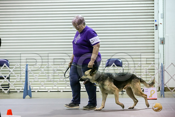 #R109 Fri Rally NovA Judge Patricia Maynard_JJJ_5513_Msqte2019-HR3