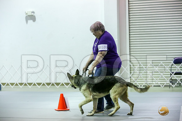 #R109 Fri Rally NovA Judge Patricia Maynard_JJJ_5516_Msqte2019-HR3
