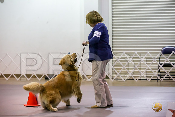 #R120 Fri Rally NovB Judge Patricia Maynard_JJJ_4207_Msqte2019-HR3