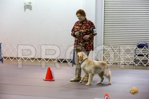 #R121 Rally Int Fri Judge Patricia Maynard_JJJ_3880_Msqte2019-HR3