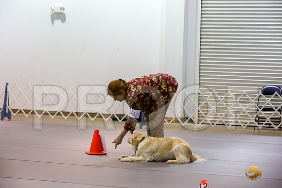 #R121 Rally Int Fri Judge Patricia Maynard_JJJ_3882_Msqte2019-HR3
