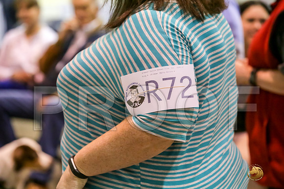 #R72 Fri Rally NovA Judge Patricia Maynard_JJJ_4814_Msqte2019-HR3