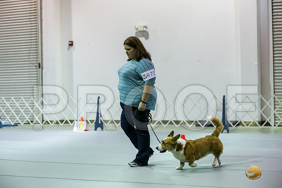 #R72 Fri Rally NovA Judge Patricia Maynard_JJJ_4836_Msqte2019-HR3