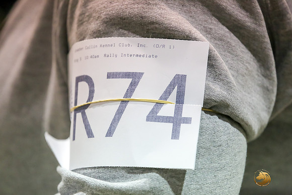 #R74 Rally Int Fri Judge Patricia Maynard_JJJ_2636_Msqte2019-HR3
