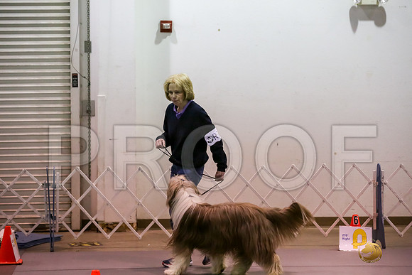 #R76 Fri Rally NovB Judge Patricia Maynard_JJJ_3968_Msqte2019-HR3