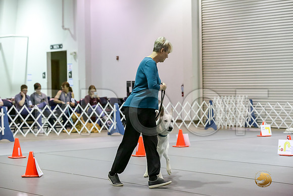 #R81 Fri Rally NovA Judge Patricia Maynard_JJJ_4899_Msqte2019-HR3