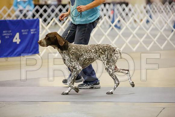 _JN_8735-AmarilloSept2014-HR3