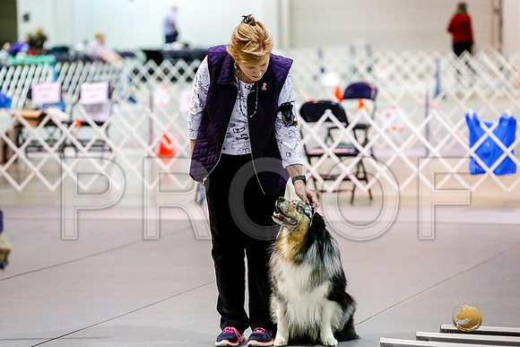 #0100 Sun UTB Judge Marilou McCloskey__CL_0717_Msqte2019-HR3