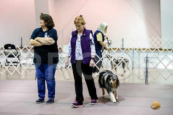#0100 Sun UTB Judge Marilou McCloskey__CL_0727_Msqte2019-HR3