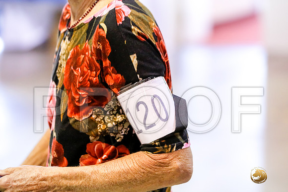 #0120 Sun UTB Judge Marilou McCloskey__CL_0241_Msqte2019-HR3