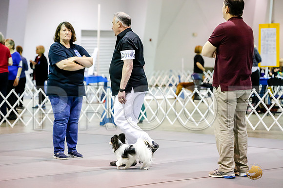 #0140 Sun UTB Judge Marilou McCloskey__CL_0440_Msqte2019-HR3