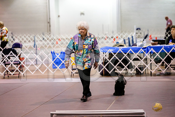 #0142 Sun UTB Judge Marilou McCloskey__CL_0505_Msqte2019-HR3