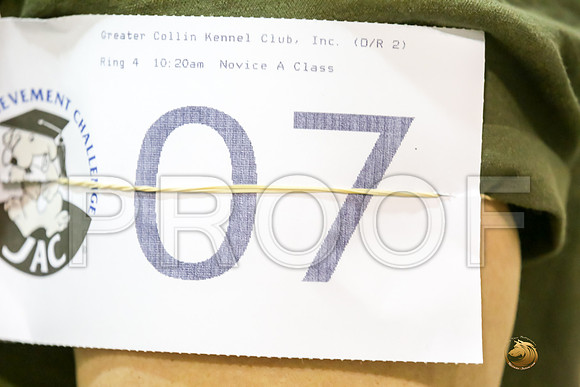 #07 Sun NovA Newf_JJJ_9270_Msqte2019-HR3