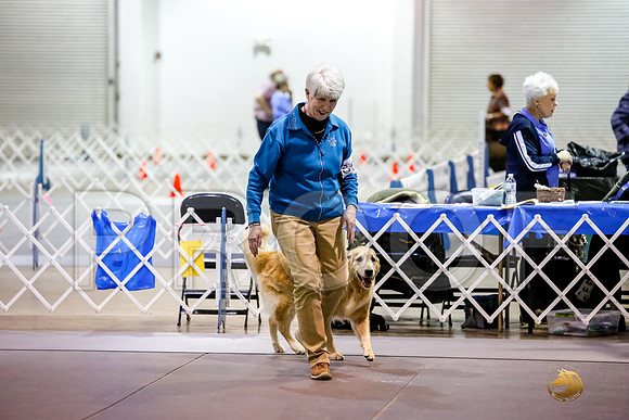 #071 Sun UTB Judge Marilou McCloskey__CL_0590_Msqte2019-HR3