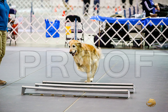 #071 Sun UTB Judge Marilou McCloskey__CL_0603_Msqte2019-HR3