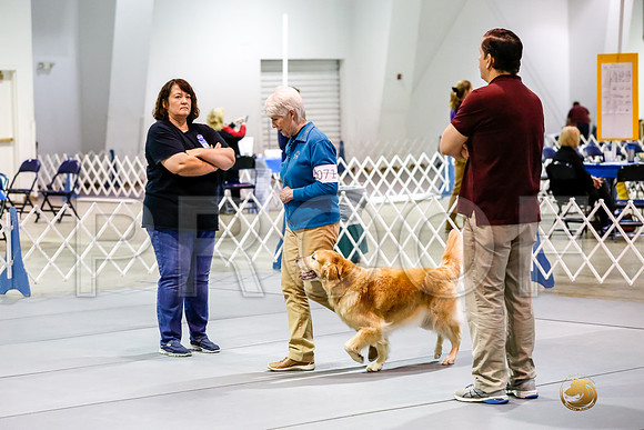 #071 Sun UTB Judge Marilou McCloskey__CL_0609_Msqte2019-HR3