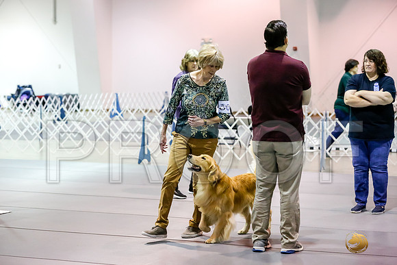 #089 Sun UTB Judge Marilou McCloskey__CL_9694_Msqte2019-HR3