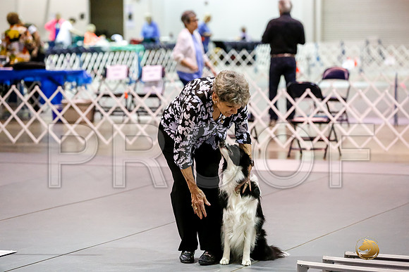 #091 Sun UTB Judge Marilou McCloskey__CL_9864_Msqte2019-HR3