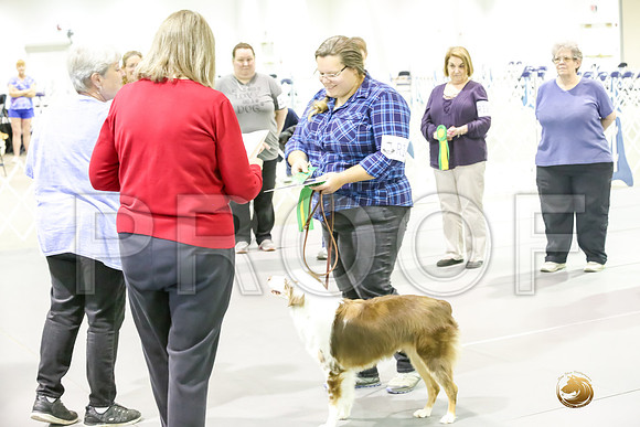 Awards Ring 5 Sun_JJJ_9558_Msqte2019-HR3