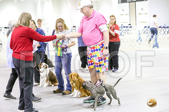 Awards Ring 5 Sun_JJJ_9568_Msqte2019-HR3