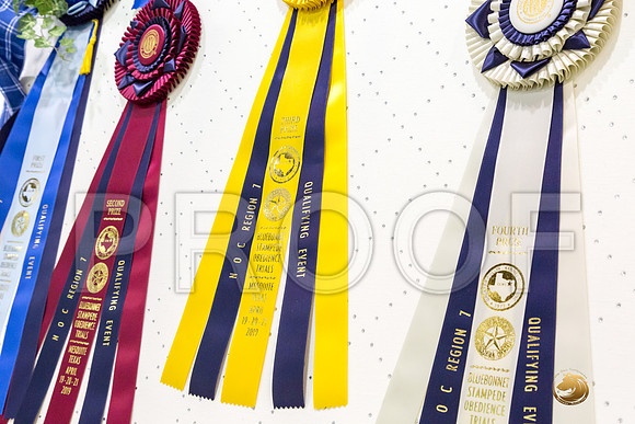 Awards Sun HIT HC__CL_0808_Msqte2019-HR3