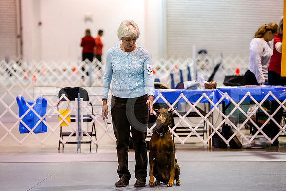 #020 Sun OpenB #058 Judge Patricia Maynard__CL_8367_Msqte2019-HR3