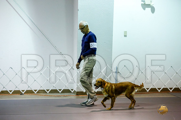 #030 Sat OpenA Judge Patricia Maynard__CL_6786_Msqte2019-HR3