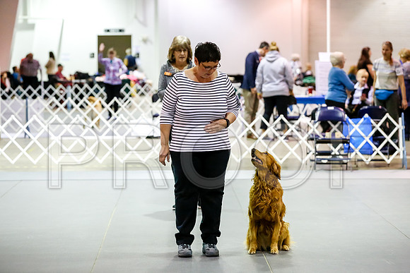 #039 Sat UT A Judge Patricia Maynard__CL_6309_Msqte2019-HR3