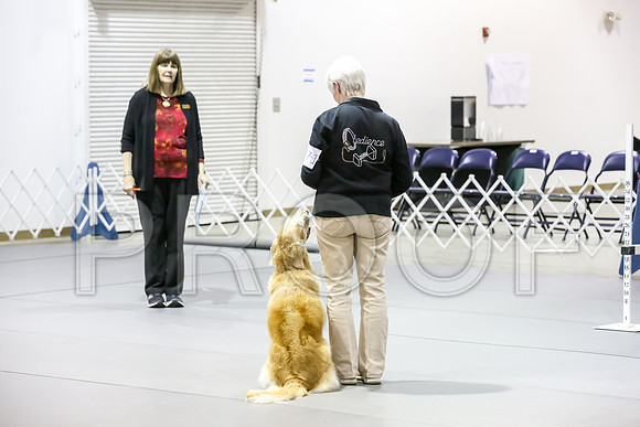#071 Sat UT Judge Sharon Hodgens Wood_JJJ_7404_Msqte2019-HR3