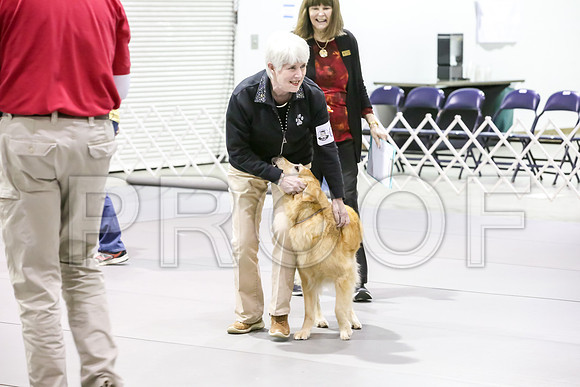 #071 Sat UT Judge Sharon Hodgens Wood_JJJ_7411_Msqte2019-HR3