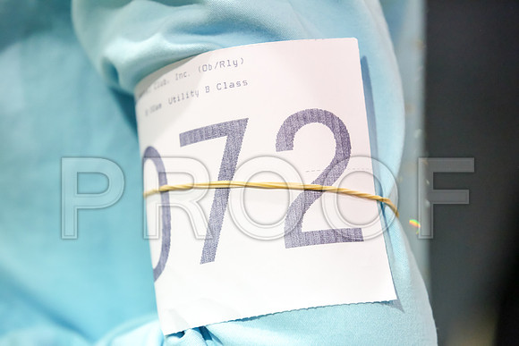 #072 Sat UT Judge Sharon Hodgens Wood_JJJ_7522_Msqte2019-HR3