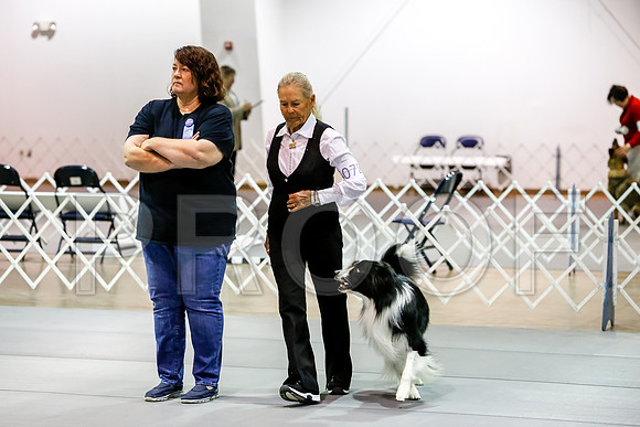 #072 Sun OpenB #058 Judge Patricia Maynard__CL_9349_Msqte2019-HR3