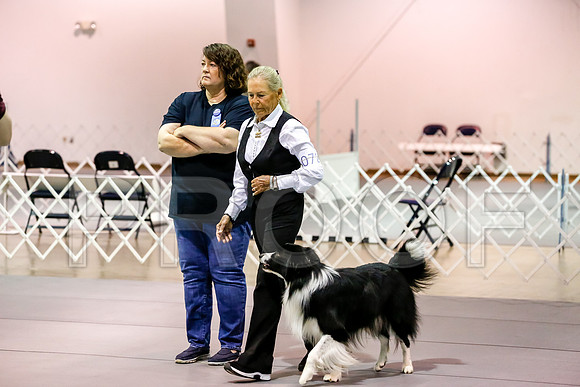 #072 Sun OpenB #058 Judge Patricia Maynard__CL_9352_Msqte2019-HR3