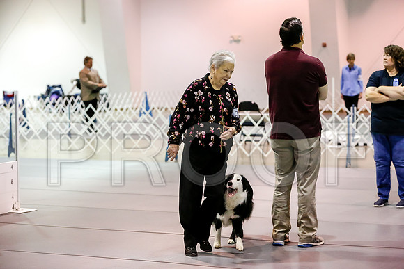 #086 Sun OpenB #058 Judge Patricia Maynard__CL_9525_Msqte2019-HR3