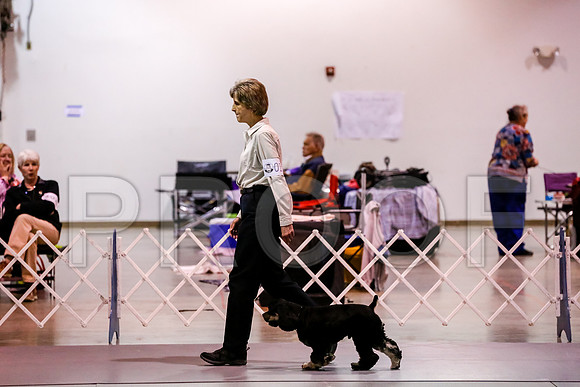 #124 Sat OpenA Judge Patricia Maynard__CL_7780_Msqte2019-HR3