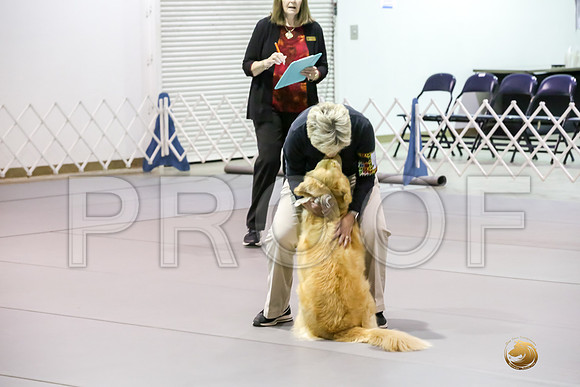 #21 Sat UTA Judge Sharon Hodgens Wood_JJJ_6127_Msqte2019-HR3