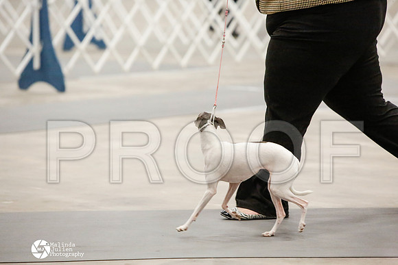 _CK_6059-AblnMay2014-web