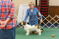 Beverly Childs #54 & #29 ALL MY DOG™