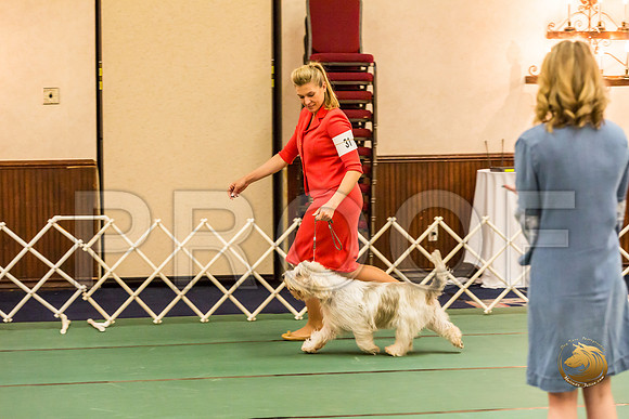 Sweeps Best Vet ThursJJJ_1031-PBGVKrvlTX2019-HR3