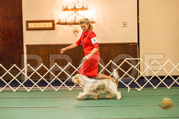 Sweeps Best Vet ThursJJJ_1036-PBGVKrvlTX2019-HR3