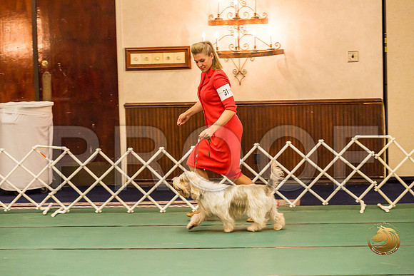 Sweeps Best Vet ThursJJJ_1037-PBGVKrvlTX2019-HR3