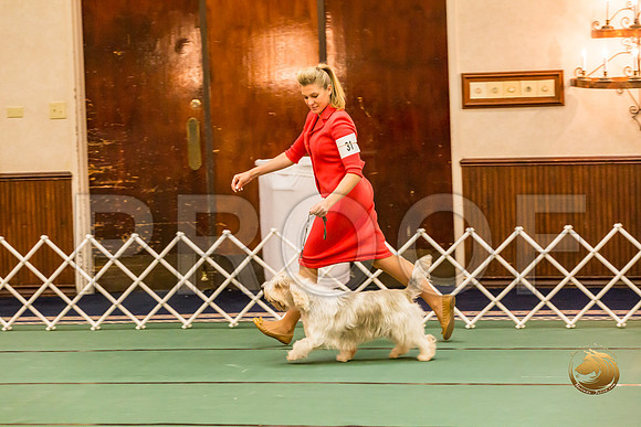 Sweeps Best Vet ThursJJJ_1040-PBGVKrvlTX2019-HR3