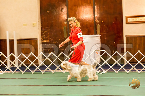 Sweeps Best Vet ThursJJJ_1041-PBGVKrvlTX2019-HR3
