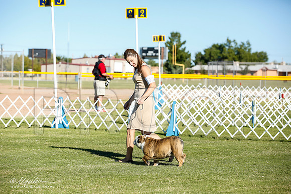 _JN_8327-AlamogordoOct2014-HR3