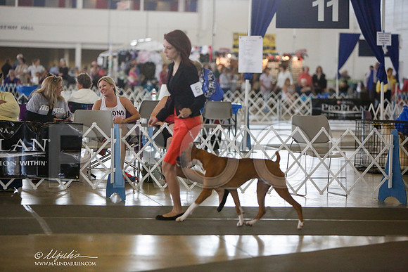 _JJ_8961-DallasJul2014-HR3