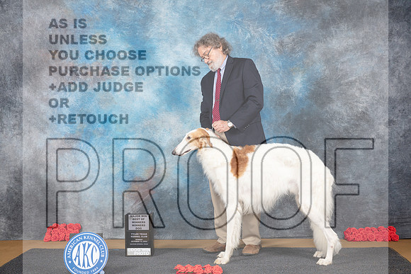 Borzoi #5 Sun WDBOWM Judge Pat Trotter__JP_0453_Sulphur Springs_2024_HR3
