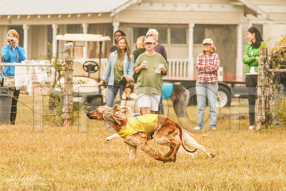 _MJ_3377-AfgBeltonOct2014-HR3