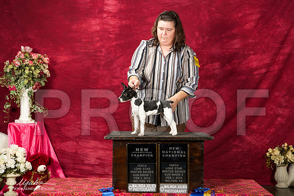 _ST_2961-BeltonJan2015IABCA-HR3
